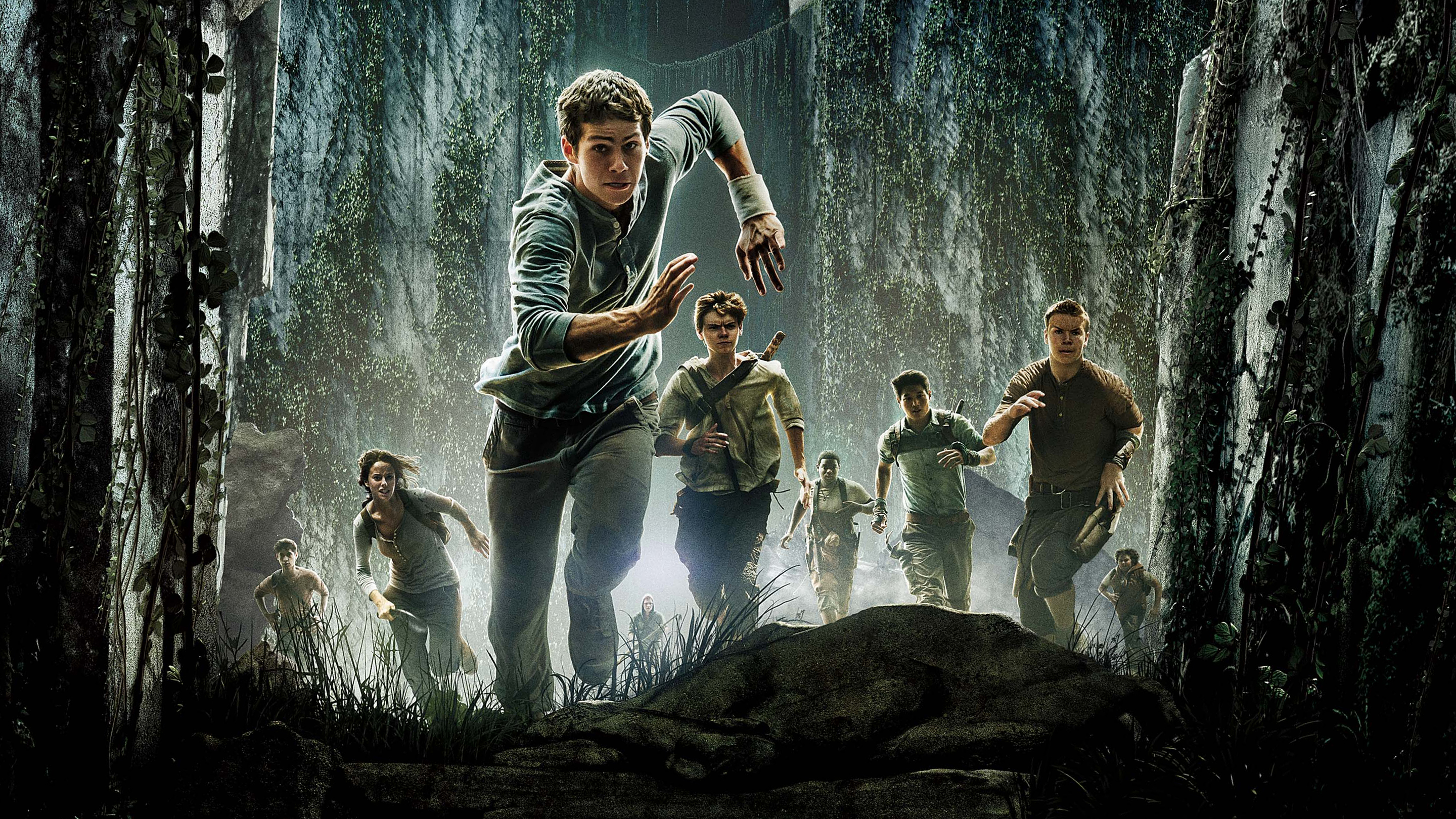  The Maze Runner