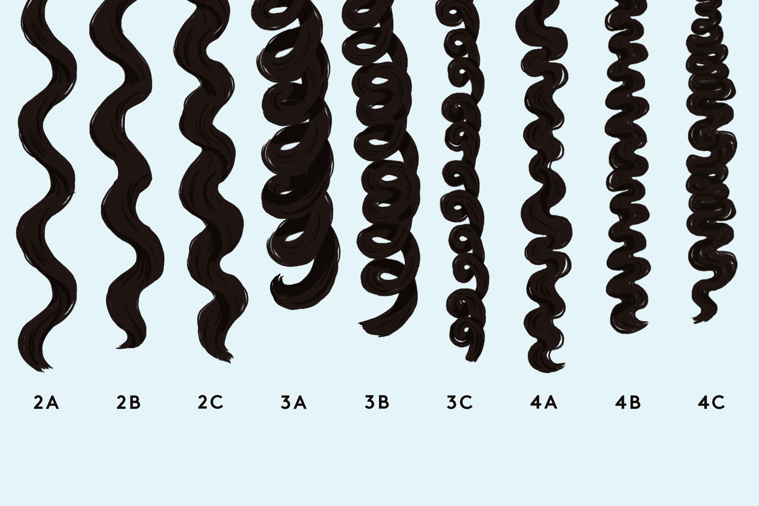 Step-by-step Guide To Establishing Your Curly Hair Routine – The Union