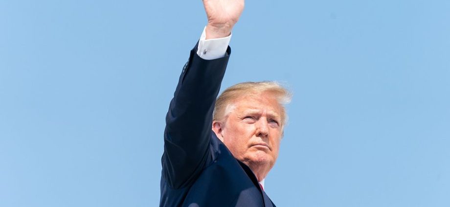 President Trump Returns from New Jersey President Donald J. Trump waves Sunday, July 7, 2019, as he prepares to board Air Force One at the Morristown Municipal Airport in Morristown, N.J., for his return to Washington, D.C. (Official White House Photo by Shealah Craighead). Original public domain image from Flickr