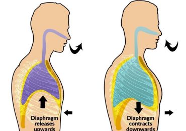 Bad breathing habits distort facial features